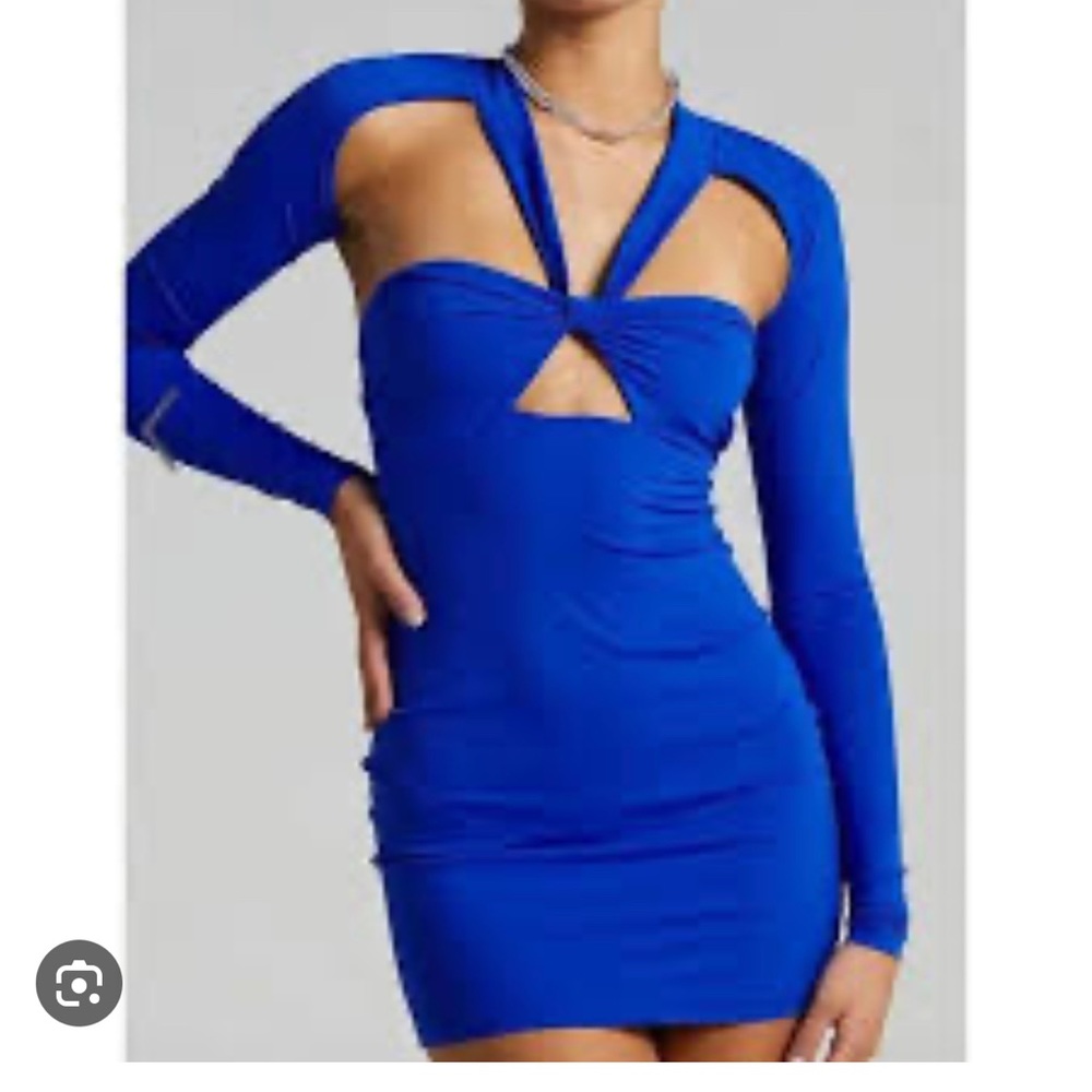 Lioness Dress